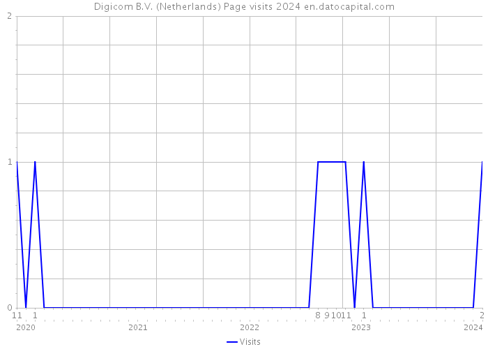 Digicom B.V. (Netherlands) Page visits 2024 
