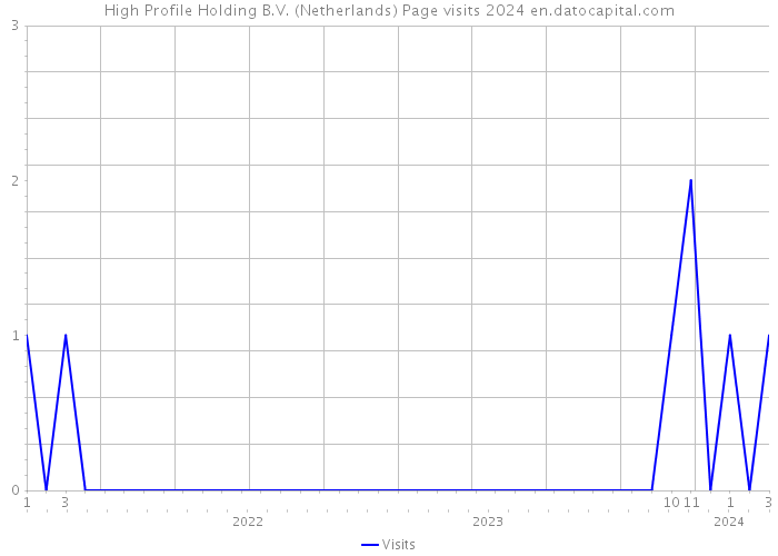 High Profile Holding B.V. (Netherlands) Page visits 2024 