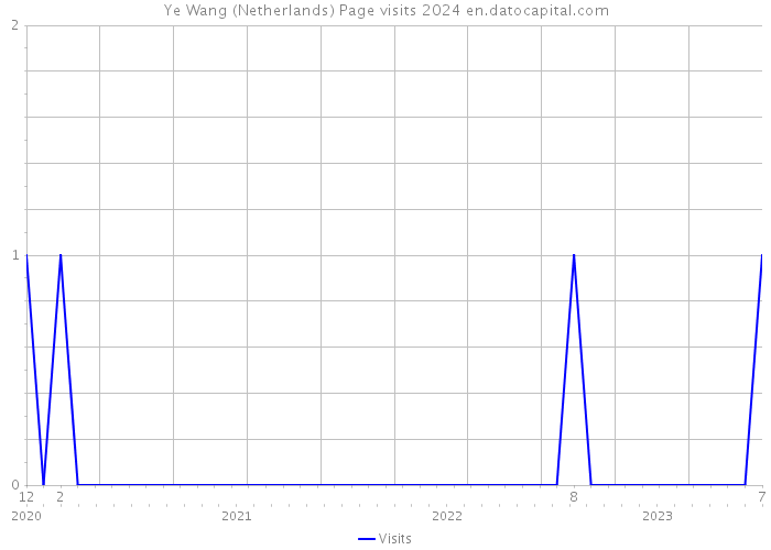 Ye Wang (Netherlands) Page visits 2024 