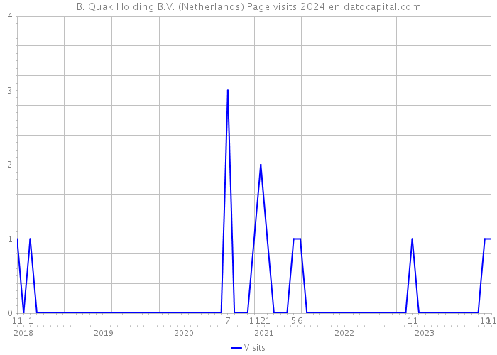 B. Quak Holding B.V. (Netherlands) Page visits 2024 