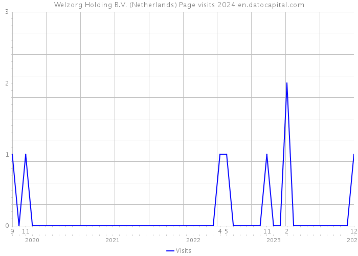 Welzorg Holding B.V. (Netherlands) Page visits 2024 