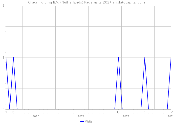 Grace Holding B.V. (Netherlands) Page visits 2024 
