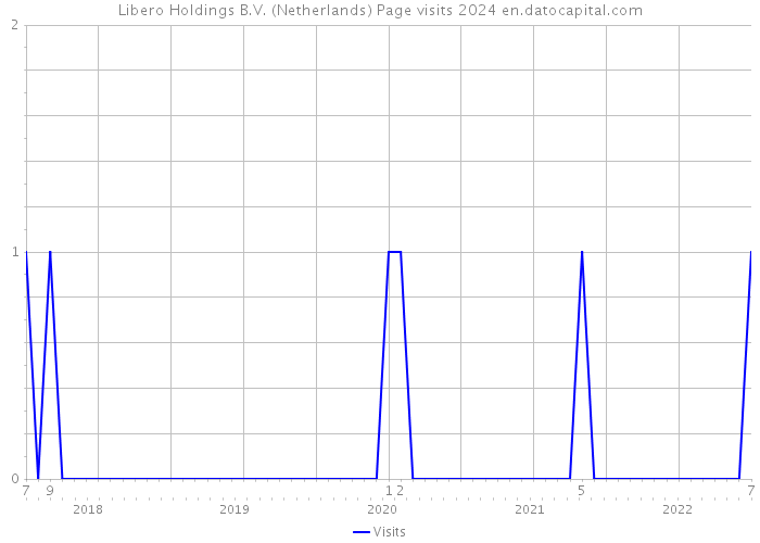 Libero Holdings B.V. (Netherlands) Page visits 2024 