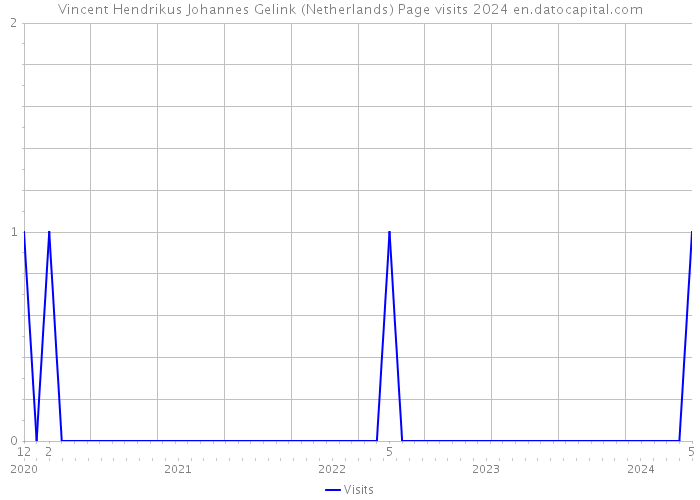 Vincent Hendrikus Johannes Gelink (Netherlands) Page visits 2024 