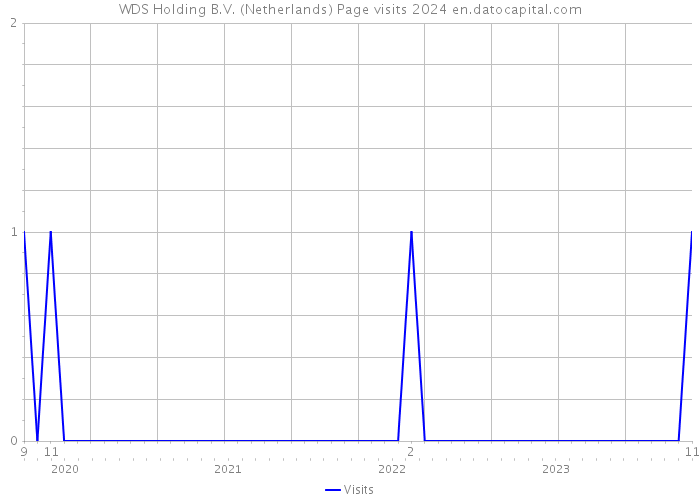 WDS Holding B.V. (Netherlands) Page visits 2024 