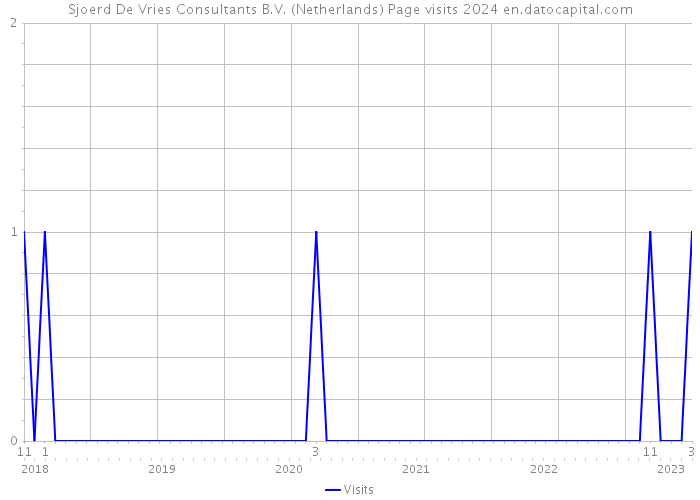 Sjoerd De Vries Consultants B.V. (Netherlands) Page visits 2024 