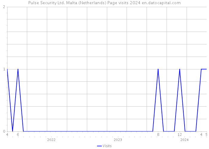 Pulse Security Ltd. Malta (Netherlands) Page visits 2024 