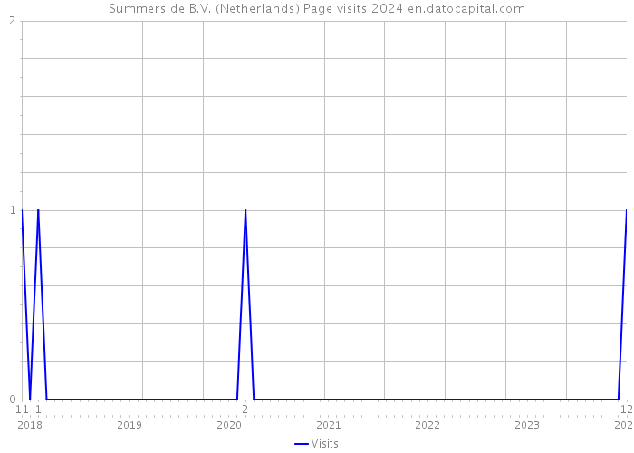 Summerside B.V. (Netherlands) Page visits 2024 