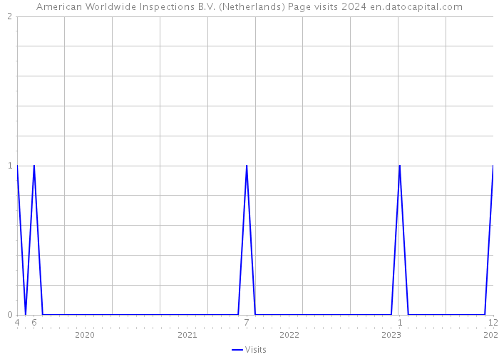 American Worldwide Inspections B.V. (Netherlands) Page visits 2024 