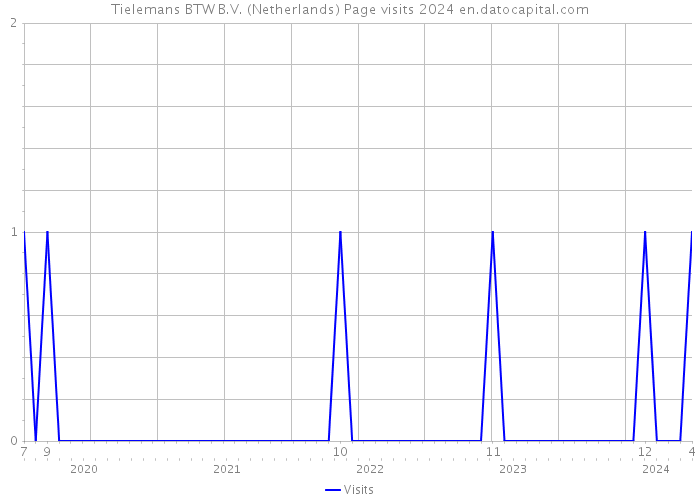 Tielemans BTW B.V. (Netherlands) Page visits 2024 