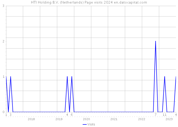HTI Holding B.V. (Netherlands) Page visits 2024 