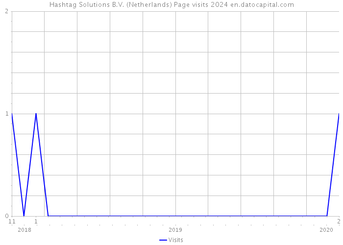 Hashtag Solutions B.V. (Netherlands) Page visits 2024 