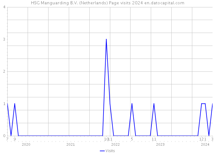 HSG Manguarding B.V. (Netherlands) Page visits 2024 