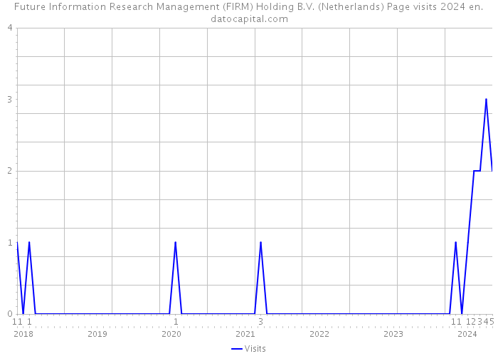 Future Information Research Management (FIRM) Holding B.V. (Netherlands) Page visits 2024 
