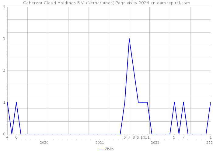 Coherent Cloud Holdings B.V. (Netherlands) Page visits 2024 
