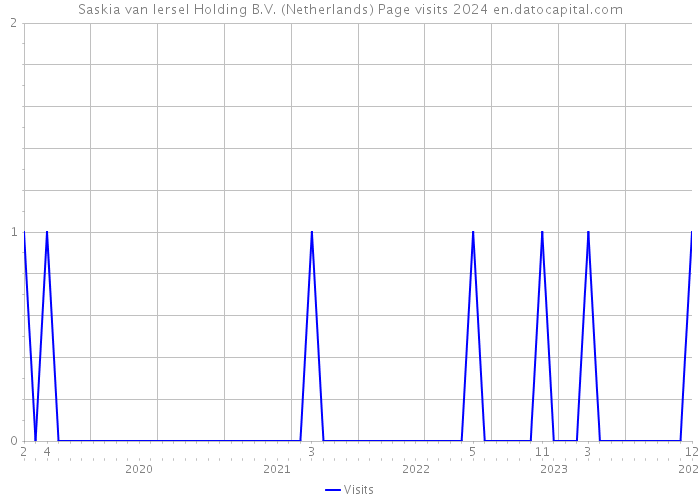 Saskia van Iersel Holding B.V. (Netherlands) Page visits 2024 