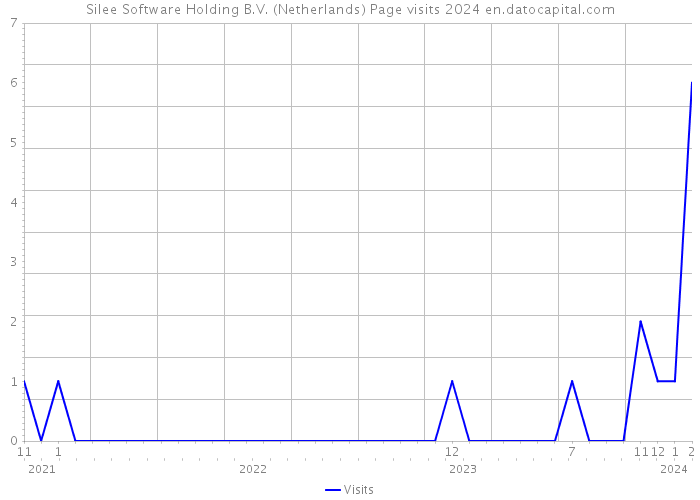 Silee Software Holding B.V. (Netherlands) Page visits 2024 