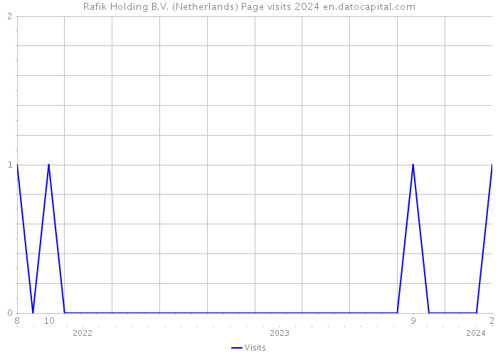 Rafik Holding B.V. (Netherlands) Page visits 2024 