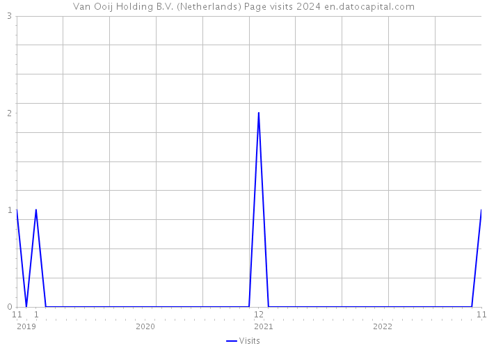 Van Ooij Holding B.V. (Netherlands) Page visits 2024 