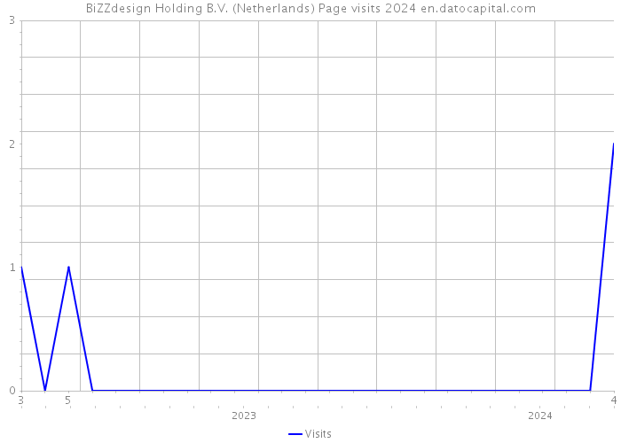 BiZZdesign Holding B.V. (Netherlands) Page visits 2024 