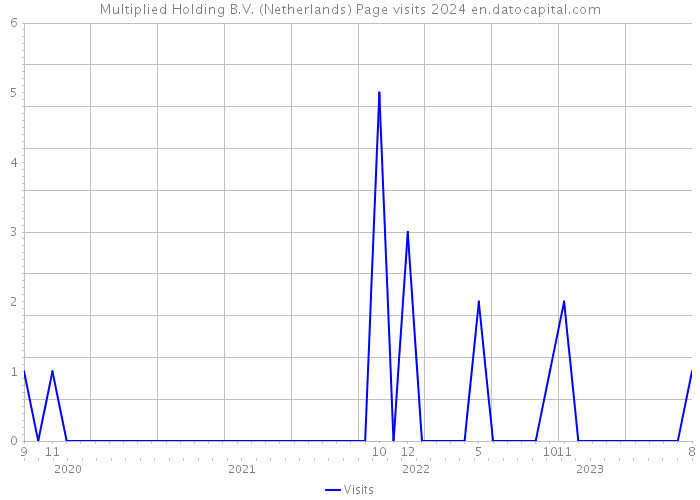 Multiplied Holding B.V. (Netherlands) Page visits 2024 