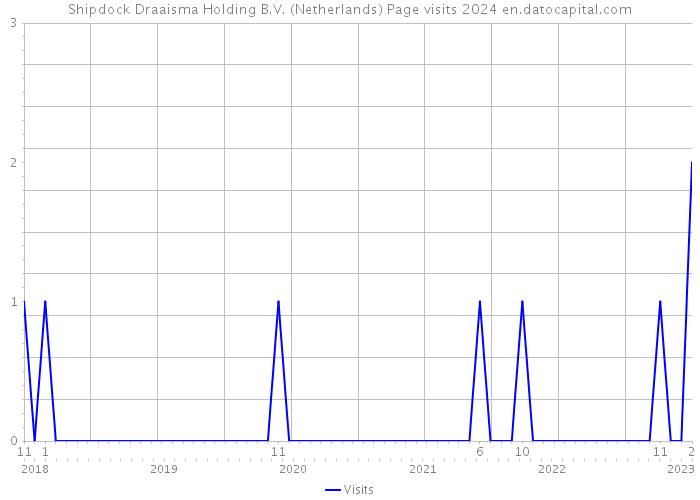 Shipdock Draaisma Holding B.V. (Netherlands) Page visits 2024 