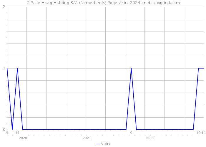 C.P. de Hoog Holding B.V. (Netherlands) Page visits 2024 