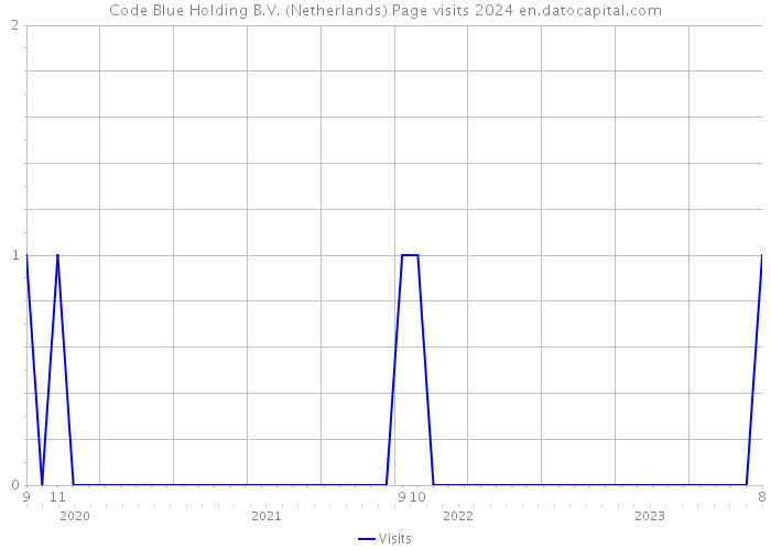 Code Blue Holding B.V. (Netherlands) Page visits 2024 