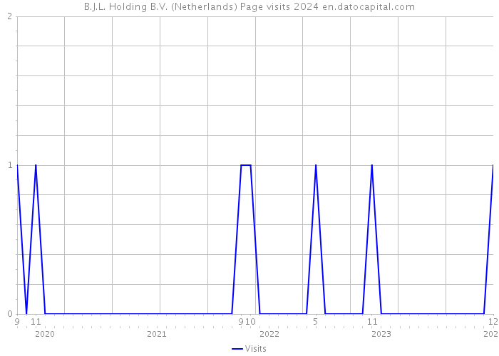B.J.L. Holding B.V. (Netherlands) Page visits 2024 