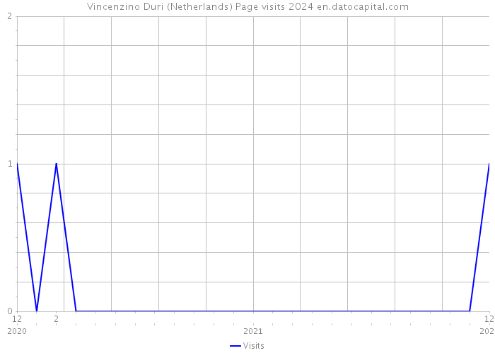 Vincenzino Duri (Netherlands) Page visits 2024 