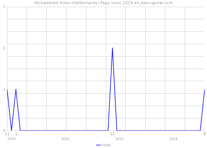 Mohammed Amin (Netherlands) Page visits 2024 