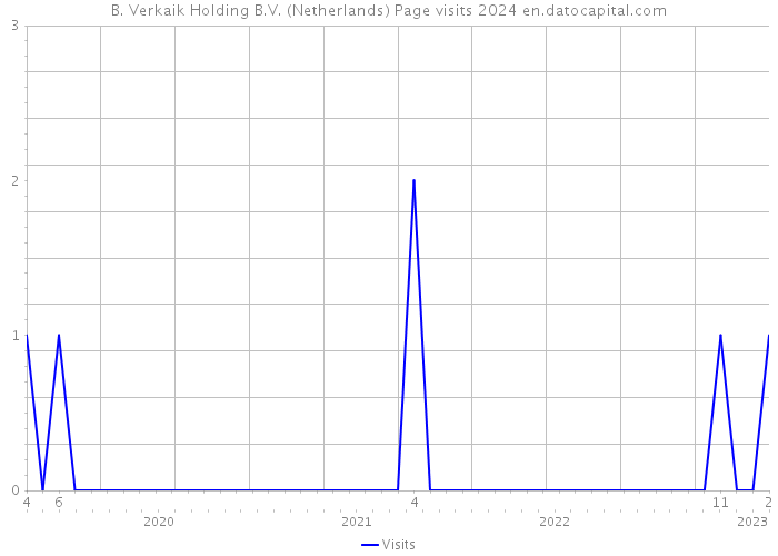 B. Verkaik Holding B.V. (Netherlands) Page visits 2024 