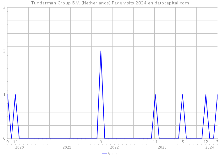 Tunderman Group B.V. (Netherlands) Page visits 2024 