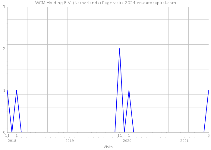 WCM Holding B.V. (Netherlands) Page visits 2024 