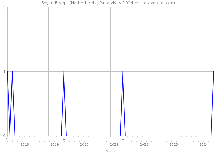 Beyan Eryigit (Netherlands) Page visits 2024 