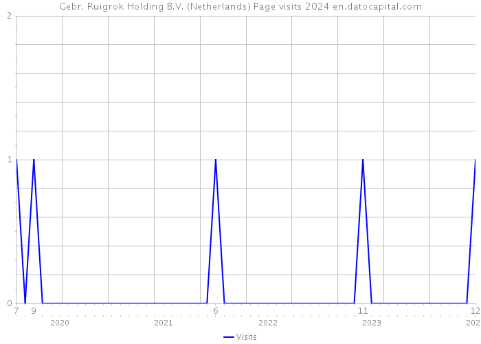 Gebr. Ruigrok Holding B.V. (Netherlands) Page visits 2024 