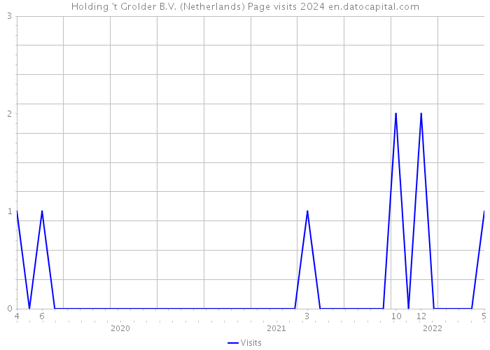 Holding 't Grolder B.V. (Netherlands) Page visits 2024 