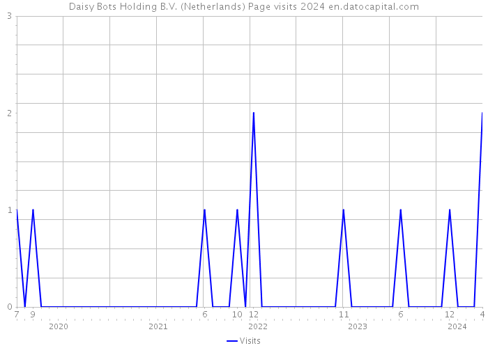 Daisy Bots Holding B.V. (Netherlands) Page visits 2024 