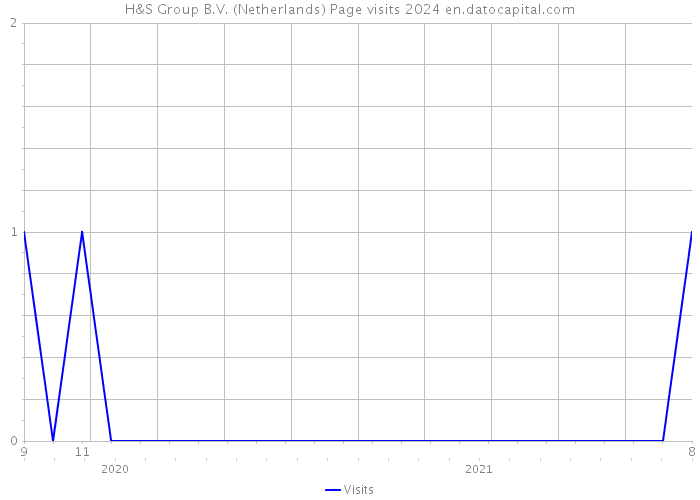 H&S Group B.V. (Netherlands) Page visits 2024 