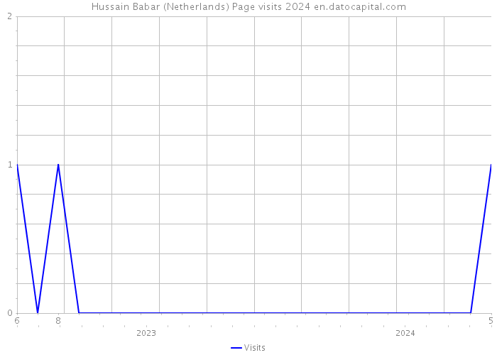Hussain Babar (Netherlands) Page visits 2024 