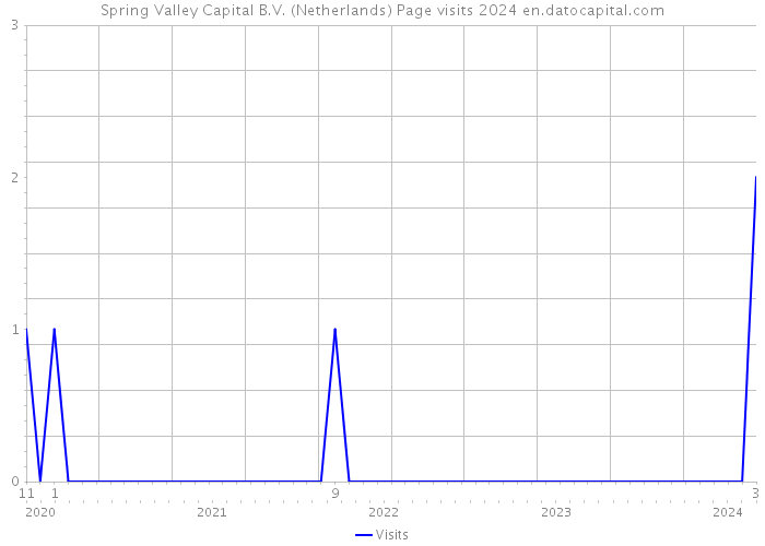 Spring Valley Capital B.V. (Netherlands) Page visits 2024 