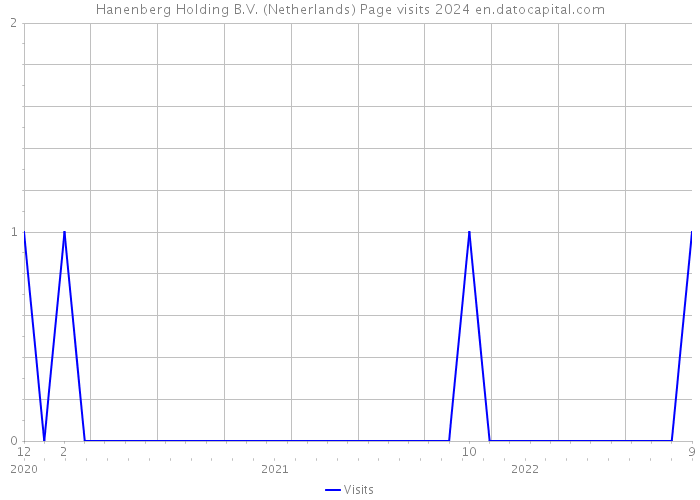 Hanenberg Holding B.V. (Netherlands) Page visits 2024 