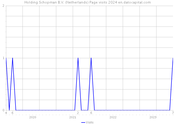 Holding Schopman B.V. (Netherlands) Page visits 2024 