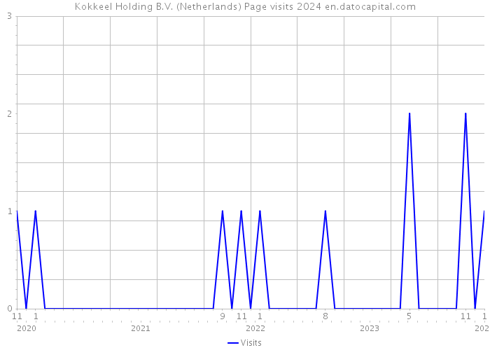 Kokkeel Holding B.V. (Netherlands) Page visits 2024 