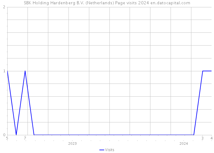 SBK Holding Hardenberg B.V. (Netherlands) Page visits 2024 