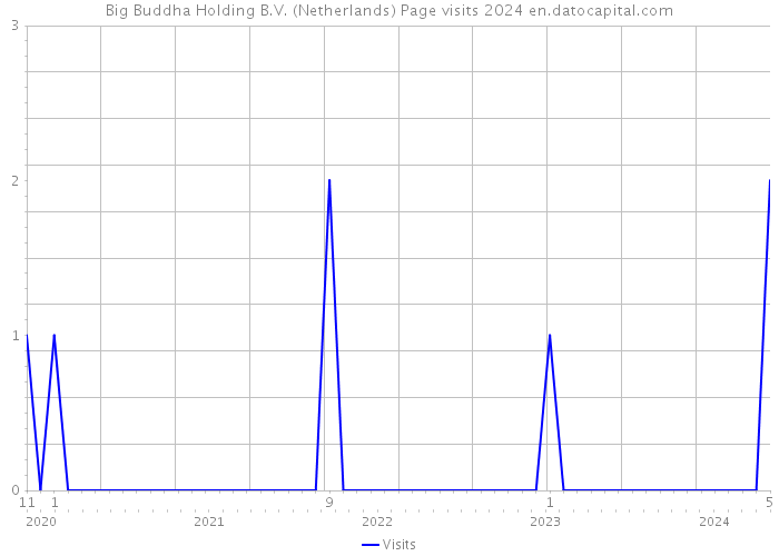 Big Buddha Holding B.V. (Netherlands) Page visits 2024 