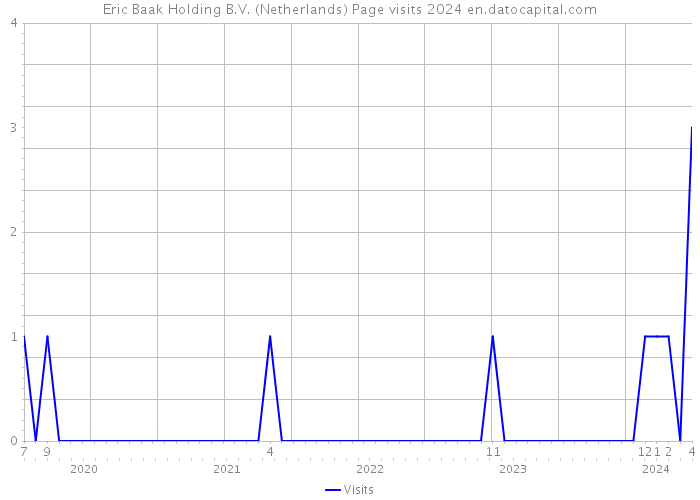 Eric Baak Holding B.V. (Netherlands) Page visits 2024 