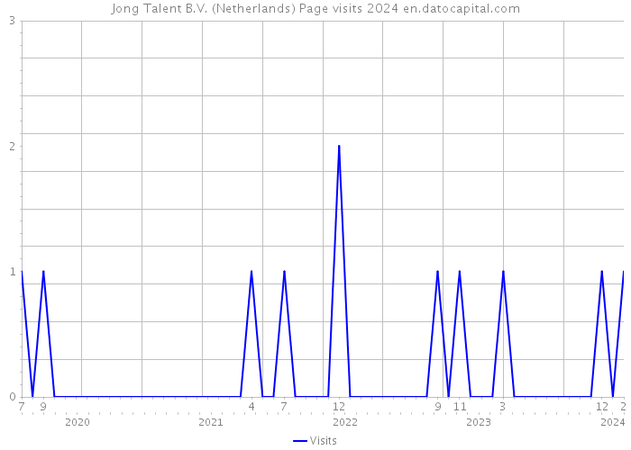 Jong Talent B.V. (Netherlands) Page visits 2024 
