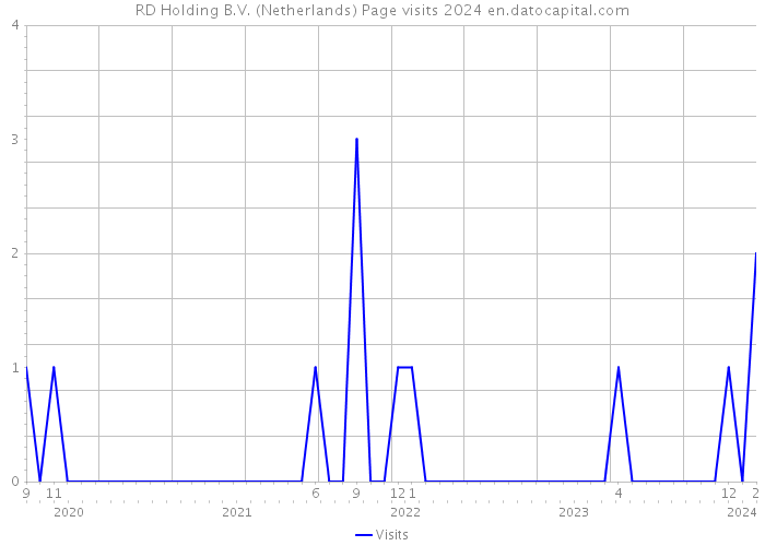 RD Holding B.V. (Netherlands) Page visits 2024 