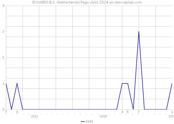 EXXAERO B.V. (Netherlands) Page visits 2024 